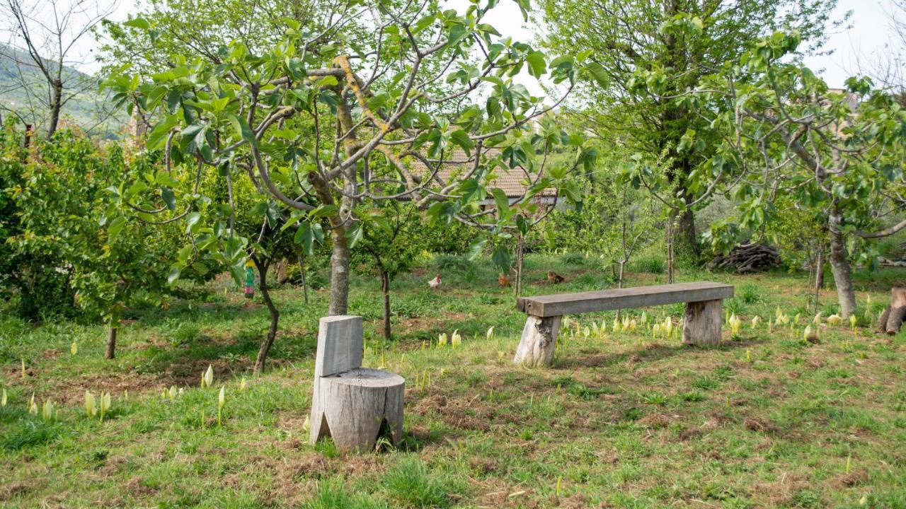 L'Arcadia Bed & Breakfast Giffoni Sei Casali Exterior photo